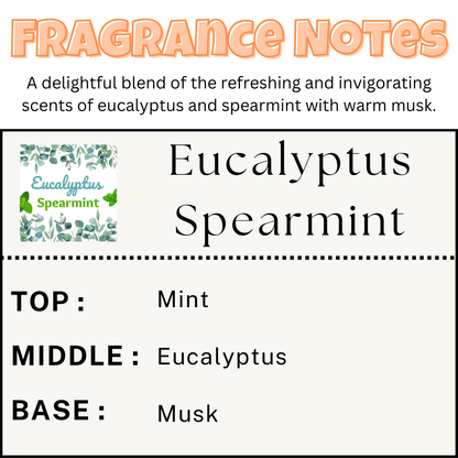 Eucalyptus Spearmint Scented Car Vent Air Freshener - Scents More